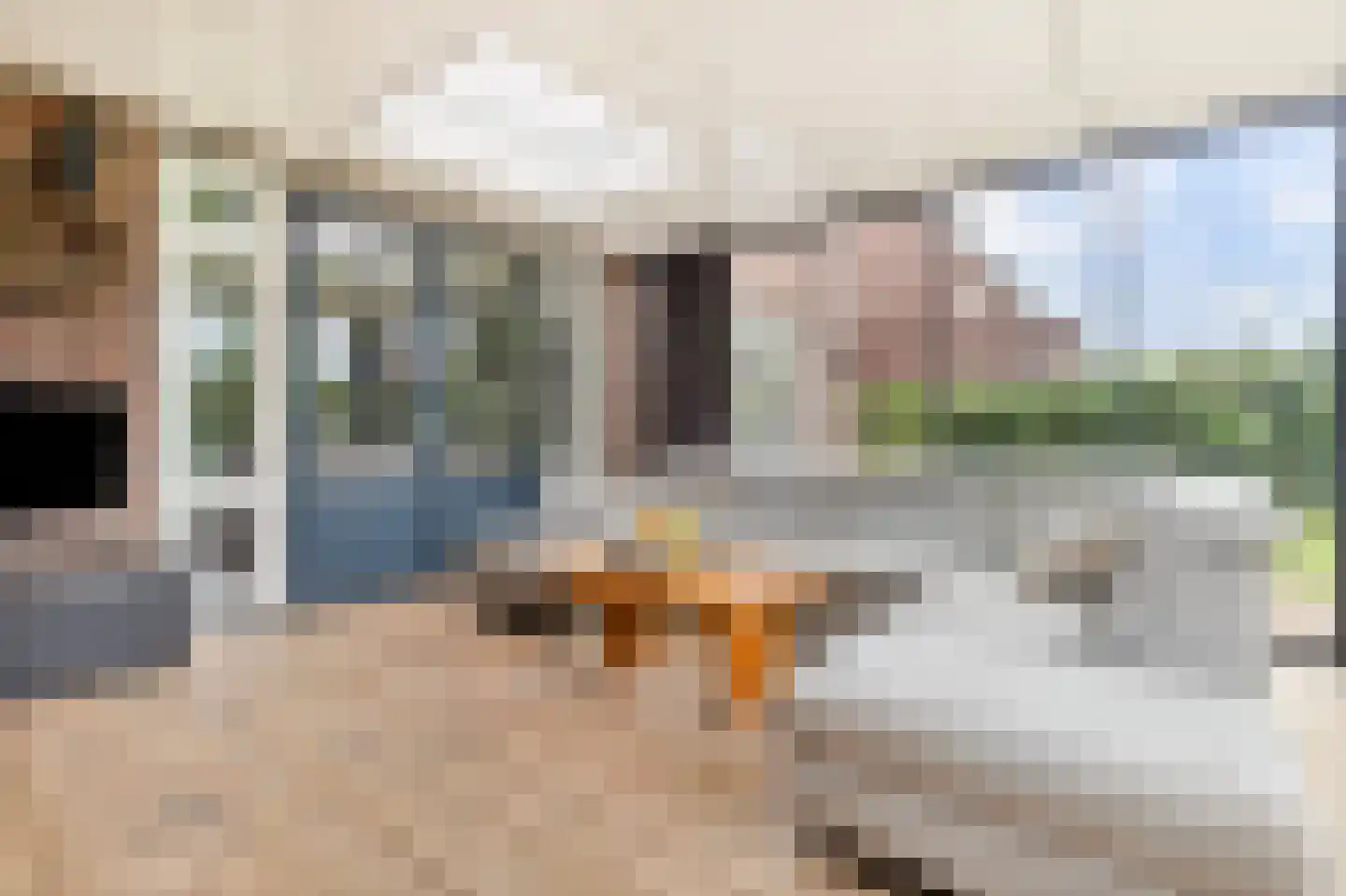 De Horik 8 Oostrum thumbnail 20