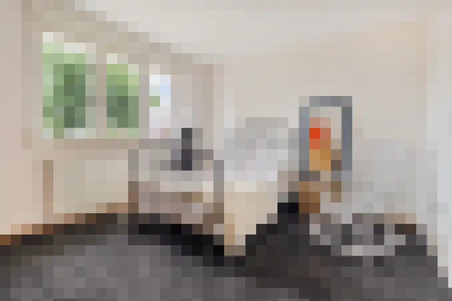 De Horik 8 Oostrum thumbnail 40