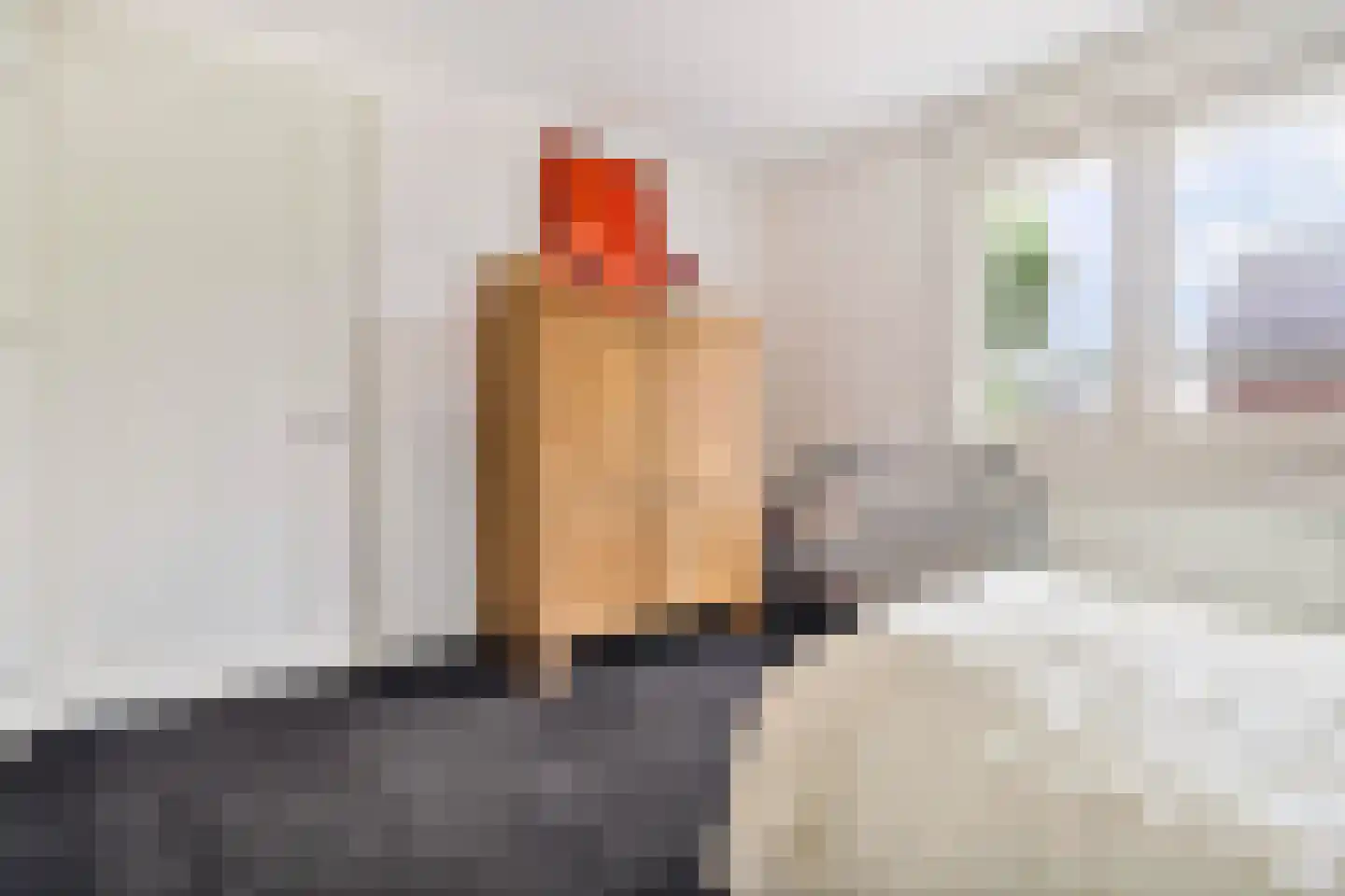 De Horik 8 Oostrum thumbnail 41