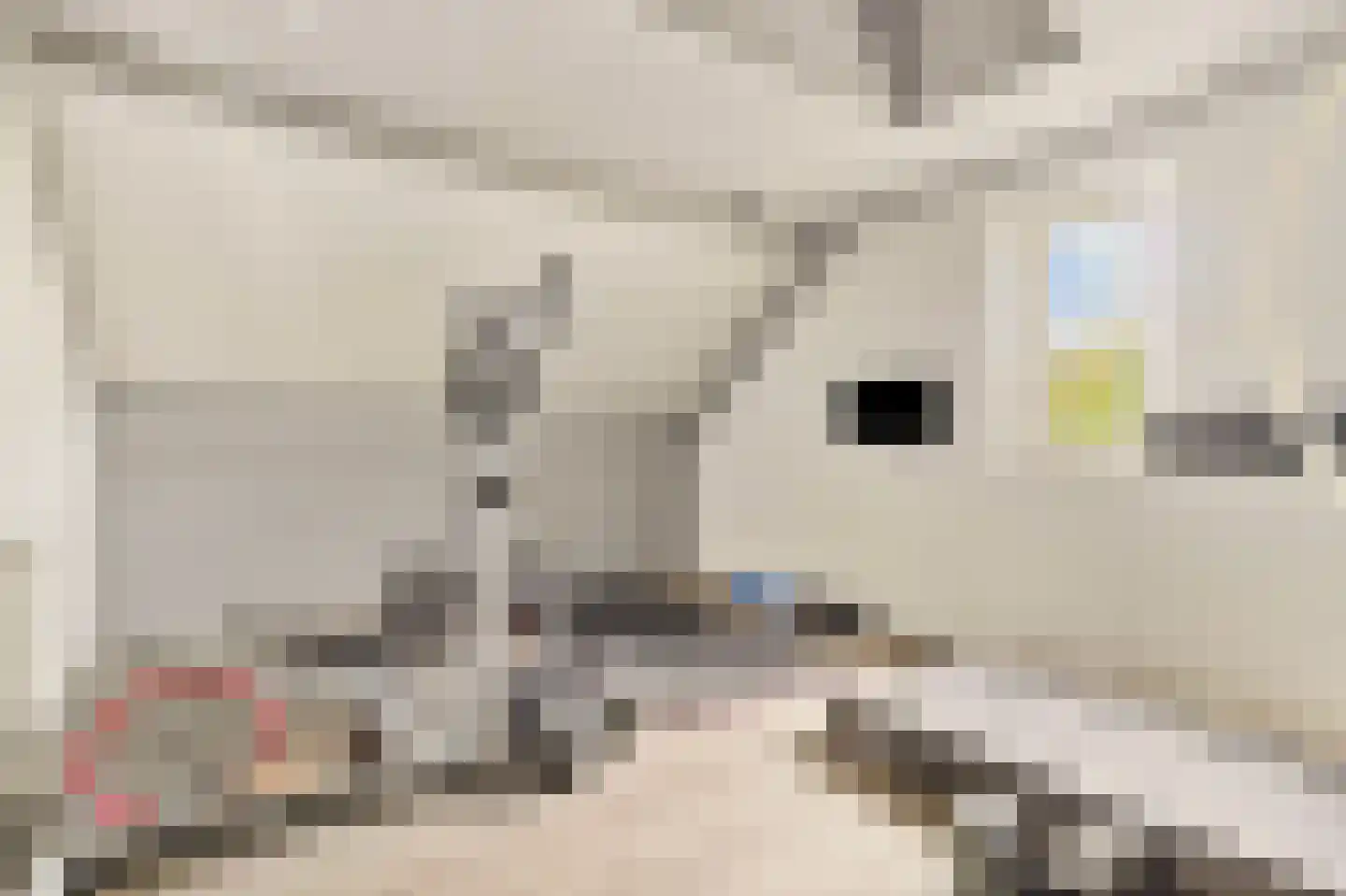 De Horik 8 Oostrum thumbnail 43