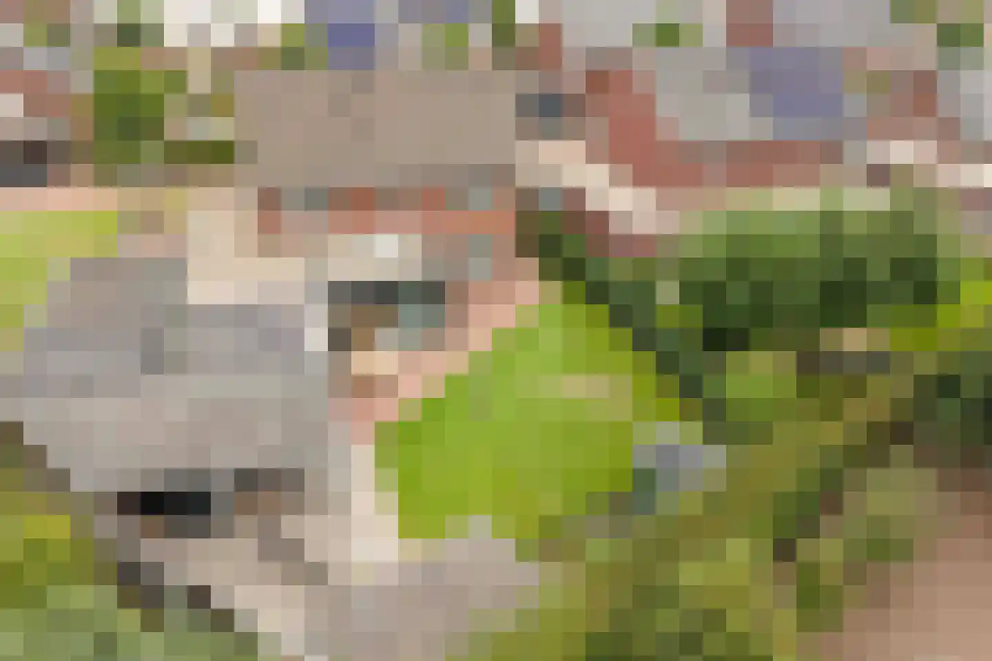 De Horik 8 Oostrum thumbnail 46