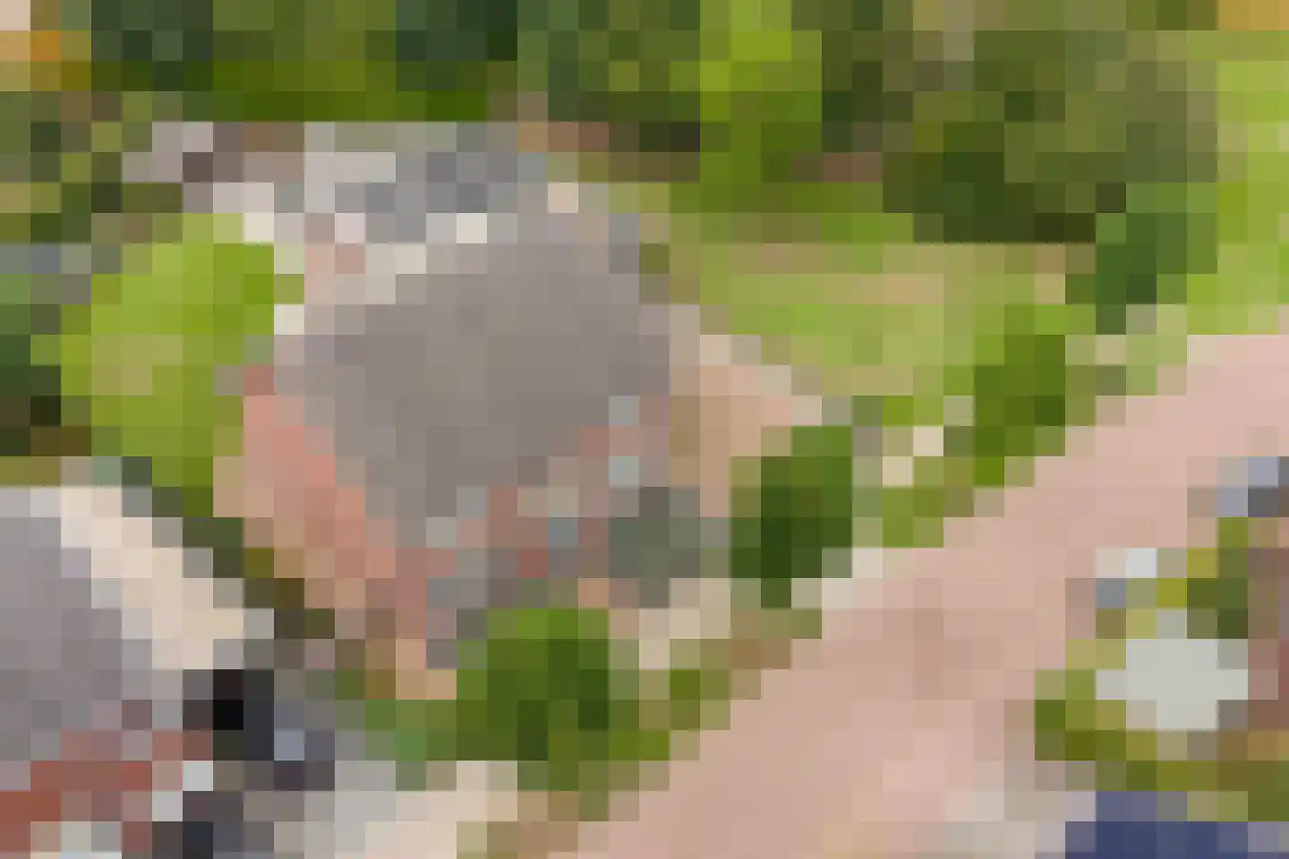 De Horik 8 Oostrum thumbnail 47