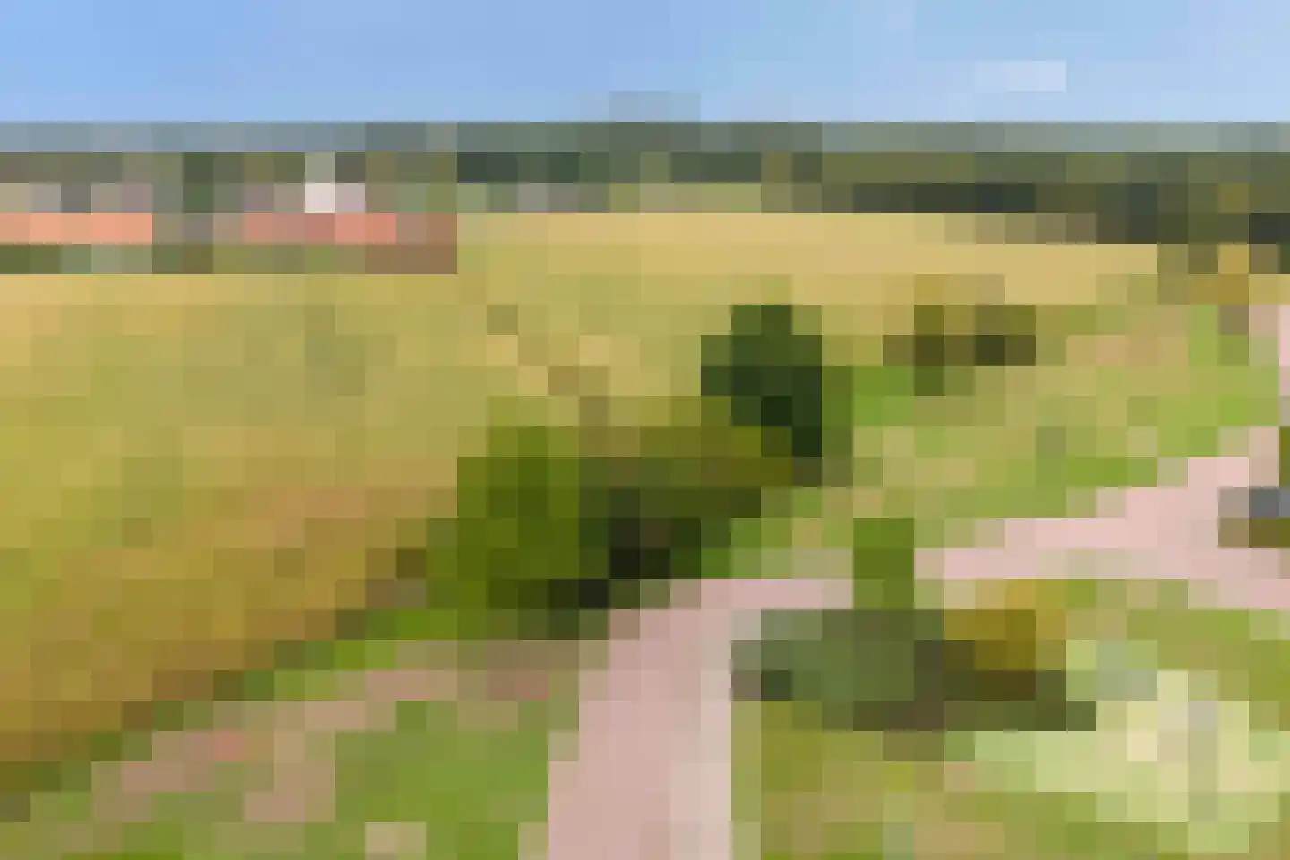 De Horik 8 Oostrum thumbnail 54