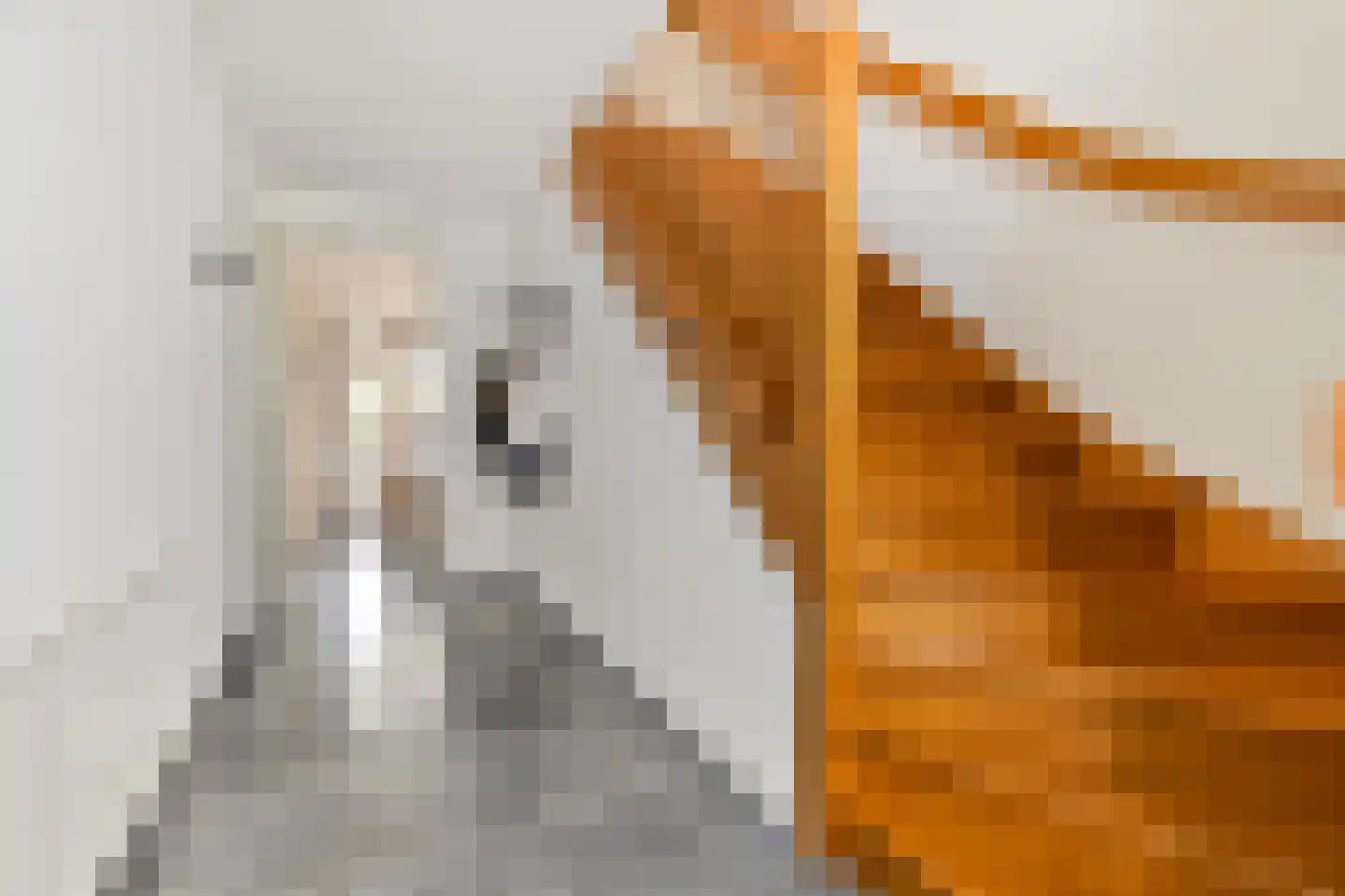 De Horik 8 Oostrum thumbnail 7