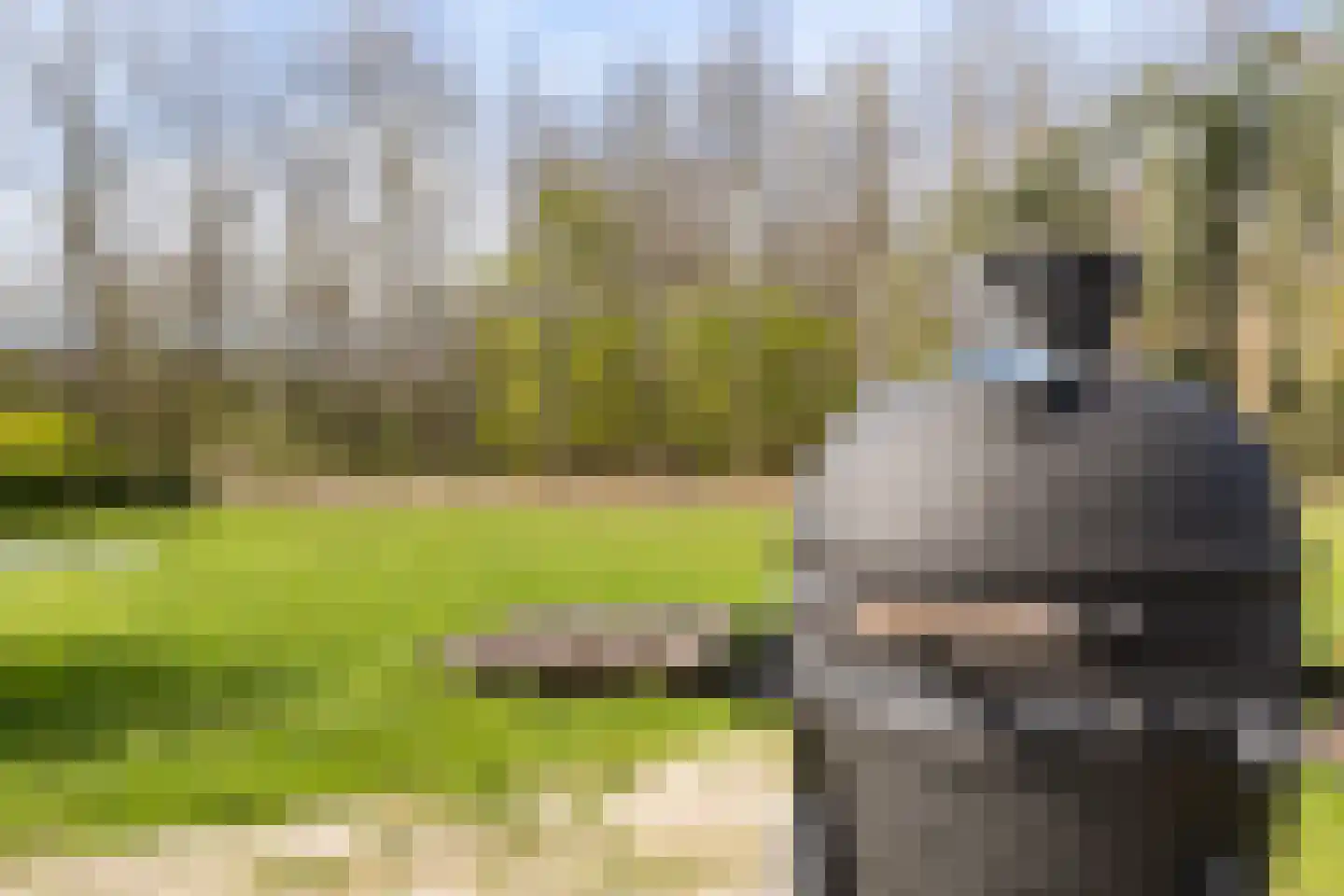 De Horizon 39 Almere thumbnail 54