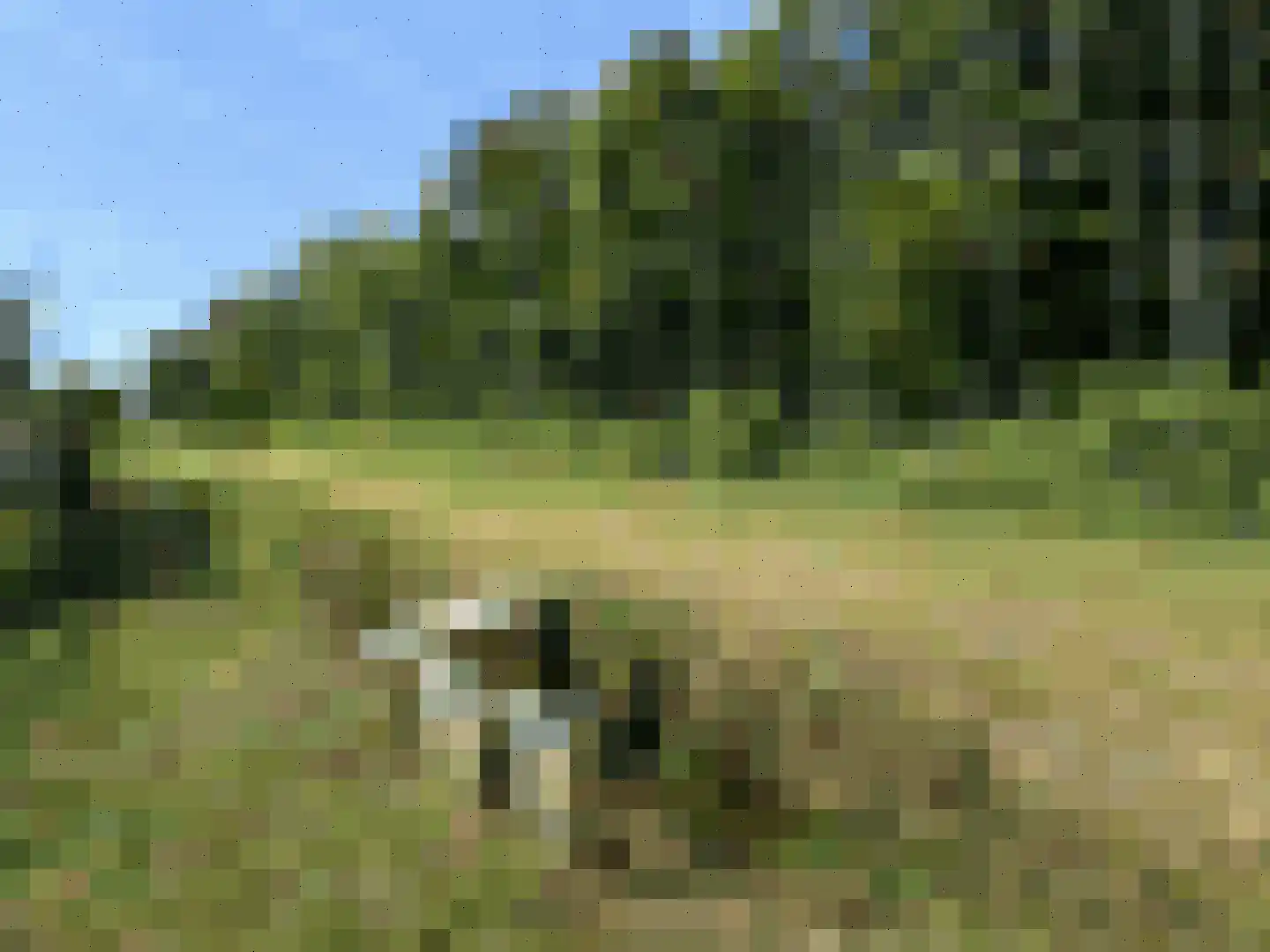De Horizon 47 Almere thumbnail 34