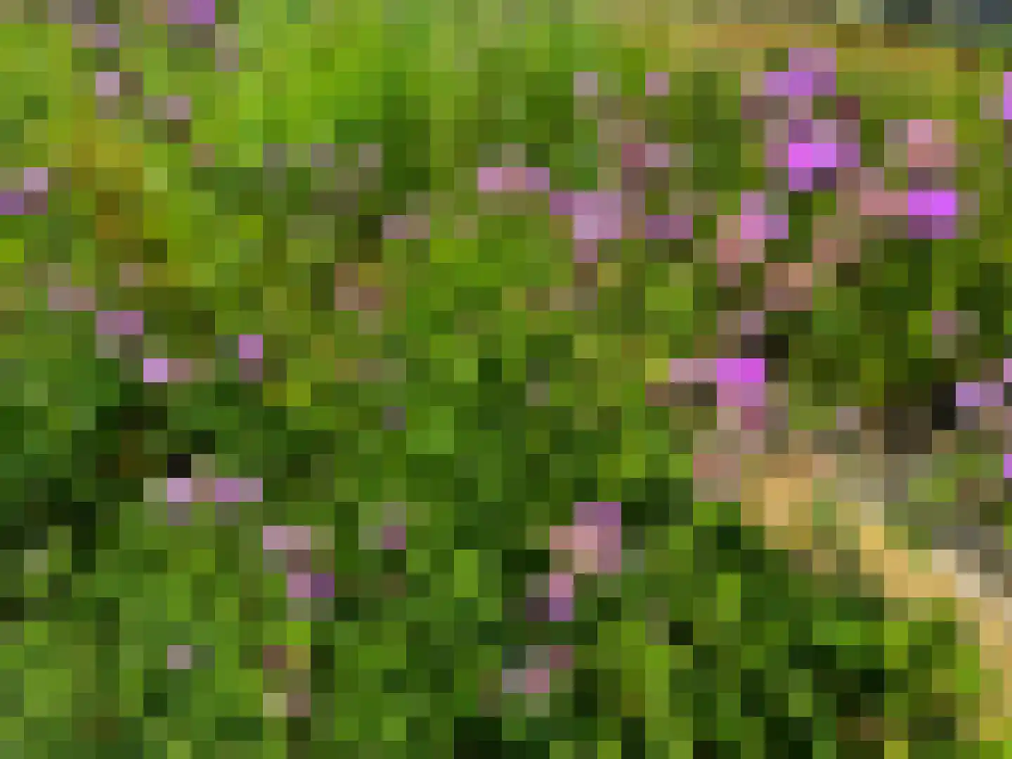 De Horizon 47 Almere thumbnail 37