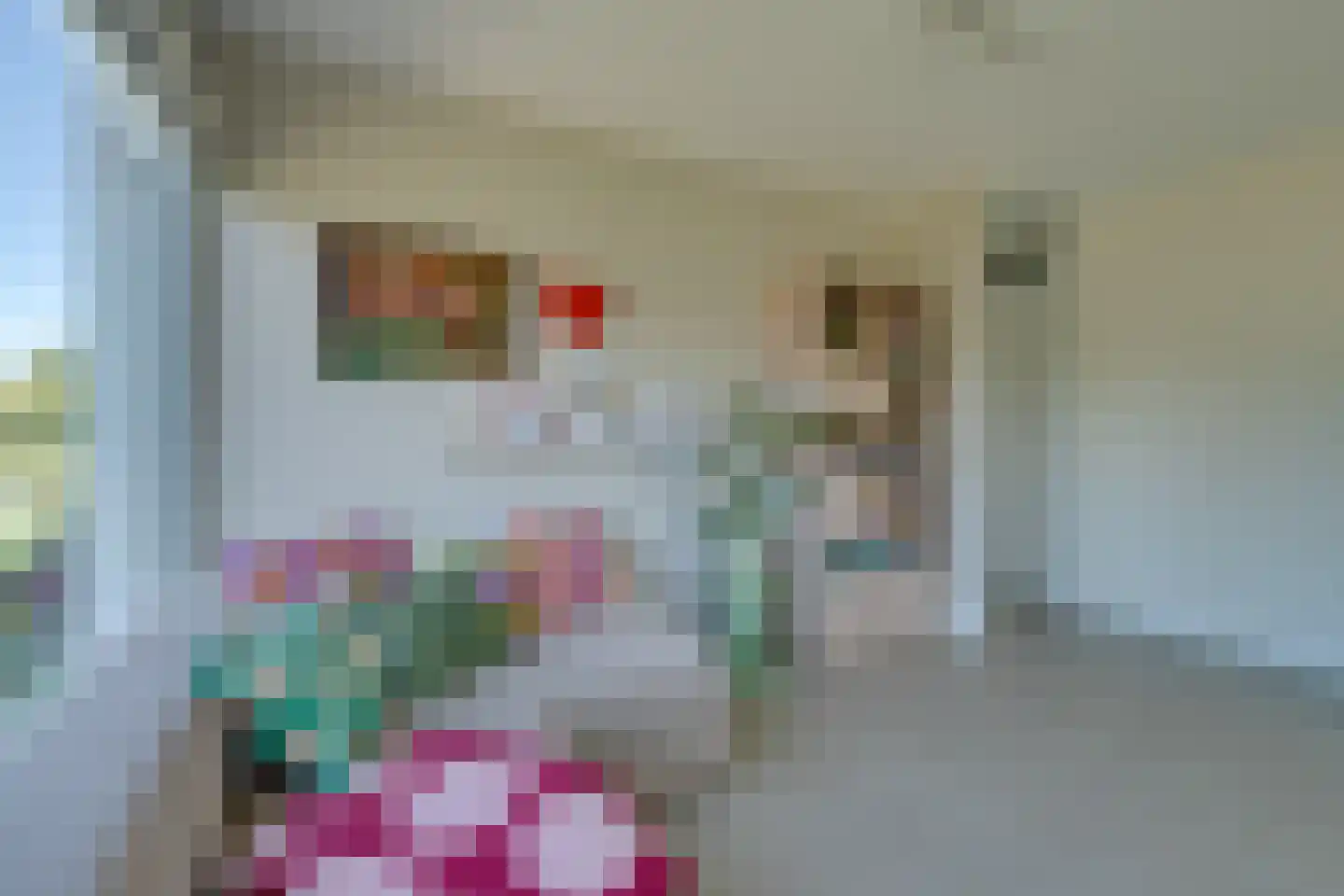 De Hors 1 Volendam thumbnail 11