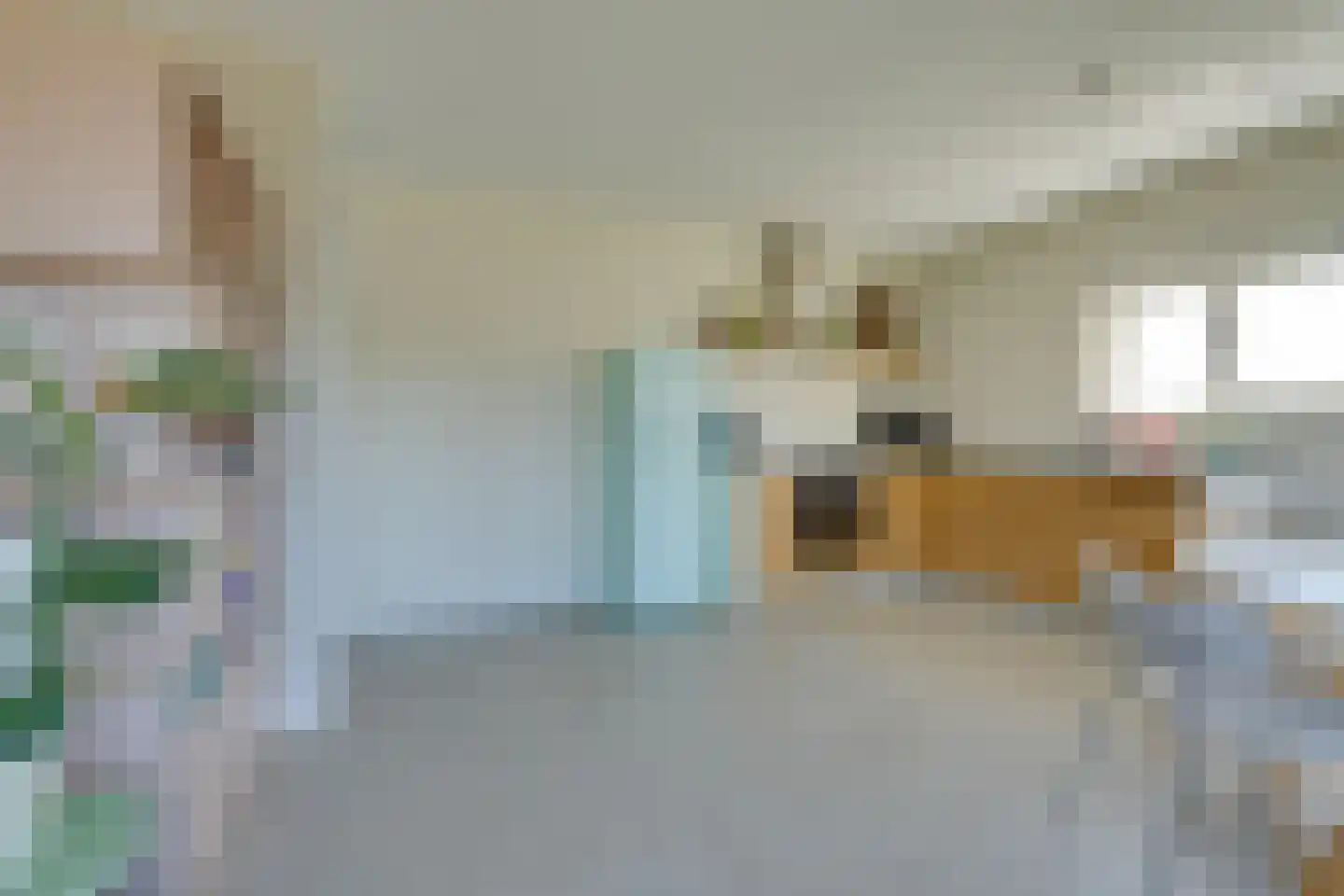 De Hors 1 Volendam thumbnail 13