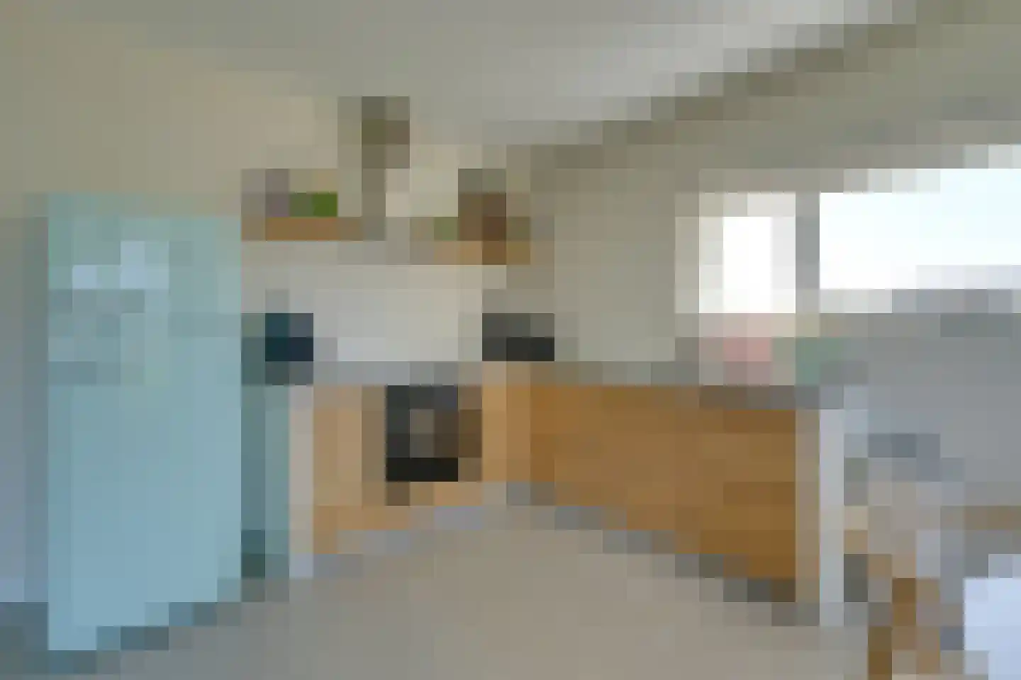 De Hors 1 Volendam thumbnail 14