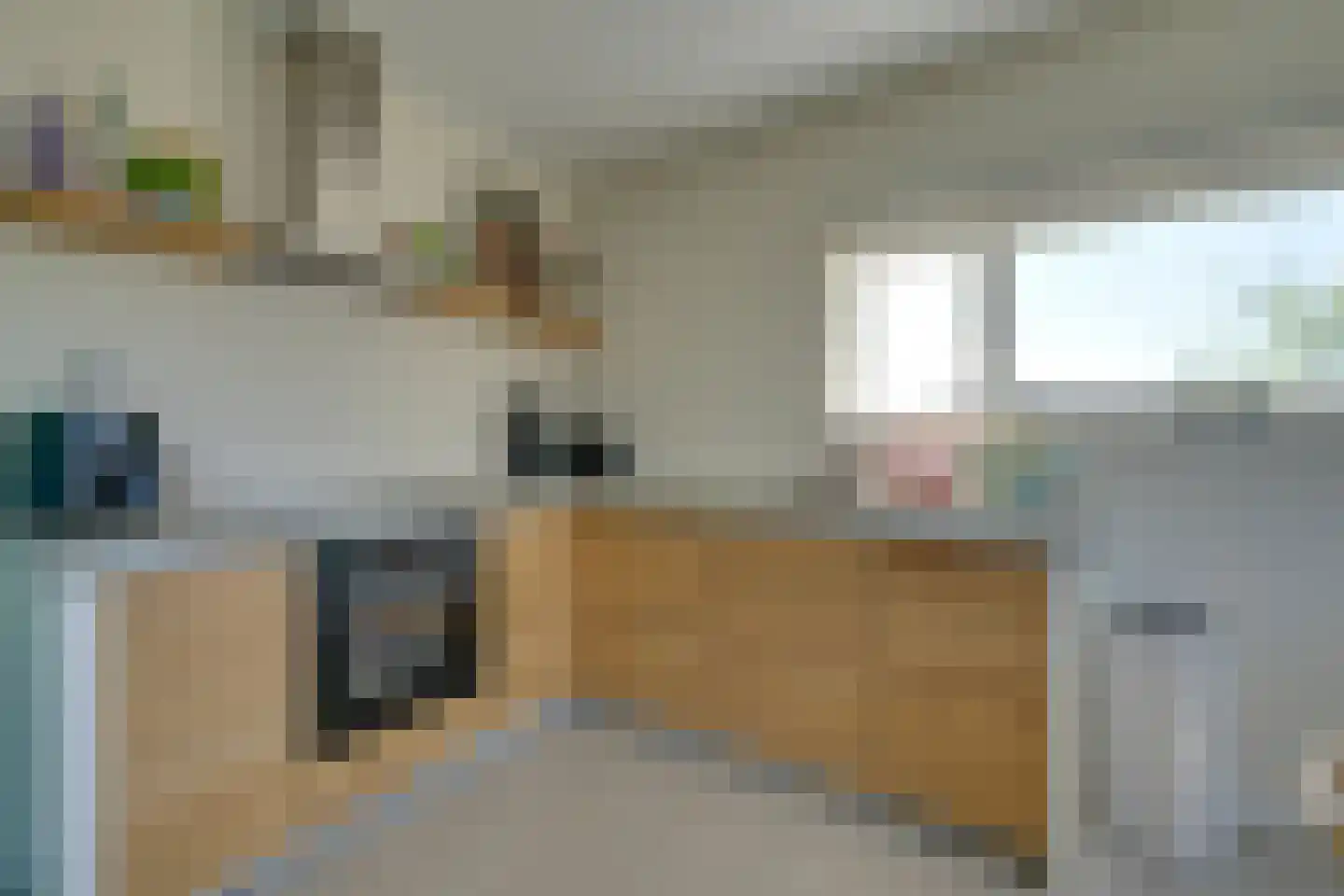 De Hors 1 Volendam thumbnail 15