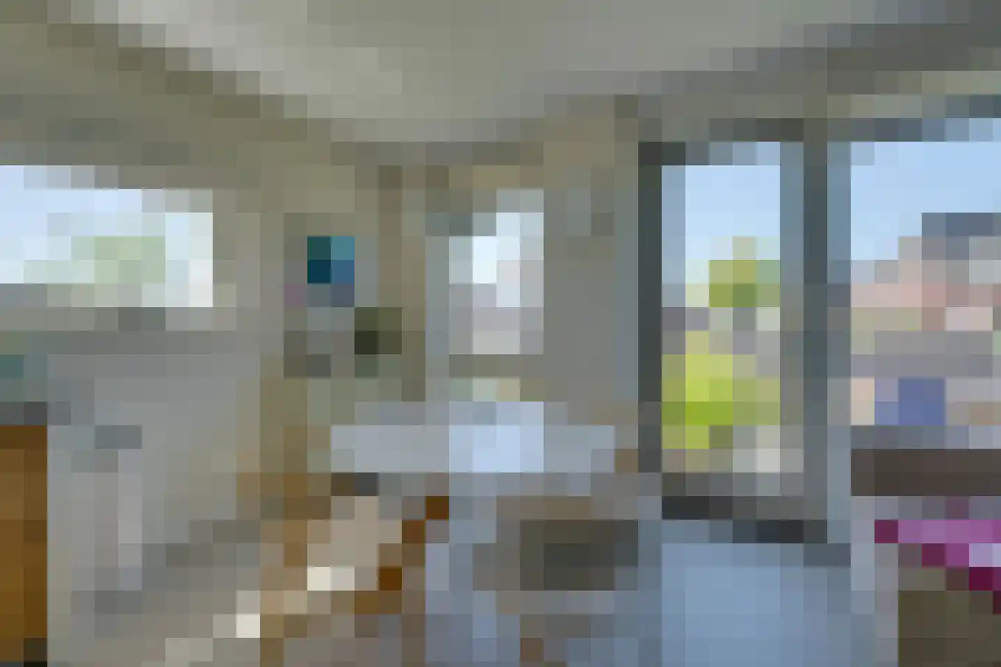 De Hors 1 Volendam thumbnail 22