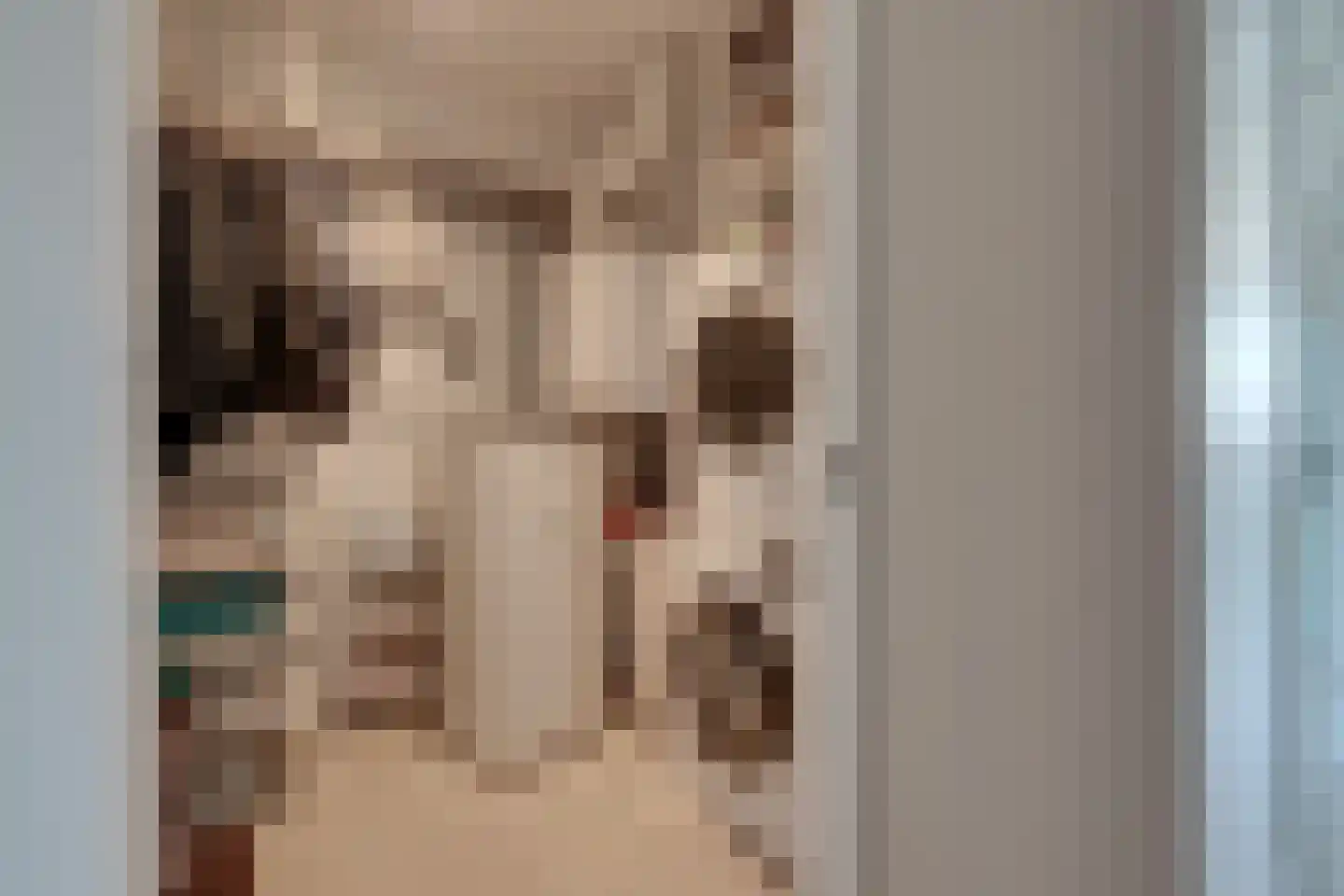 De Hors 1 Volendam thumbnail 34