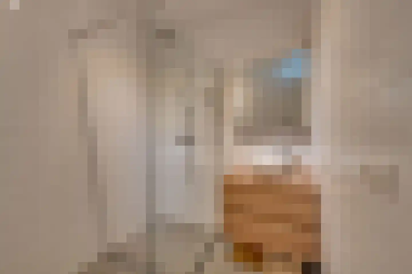 De Hors 1 Volendam thumbnail 4