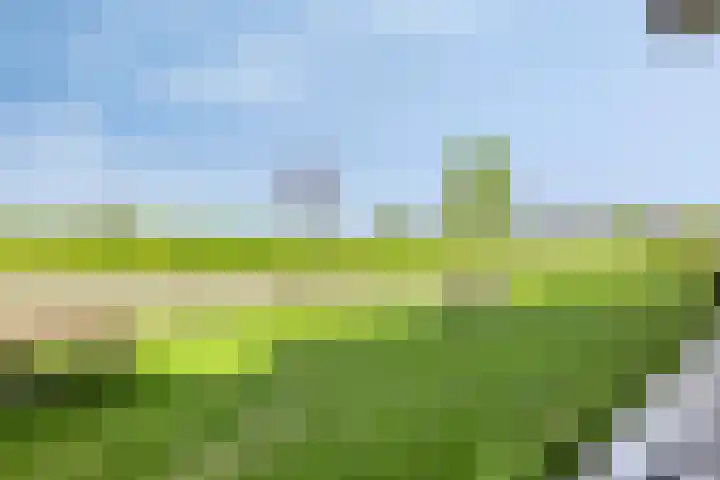 De Hors 11 Volendam thumbnail 10