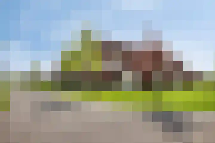 De Hors 11 Volendam thumbnail 24