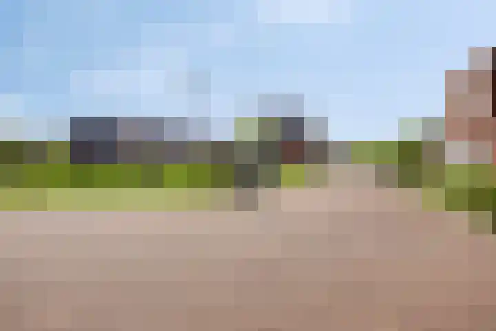 De Hors 11 Volendam thumbnail 26