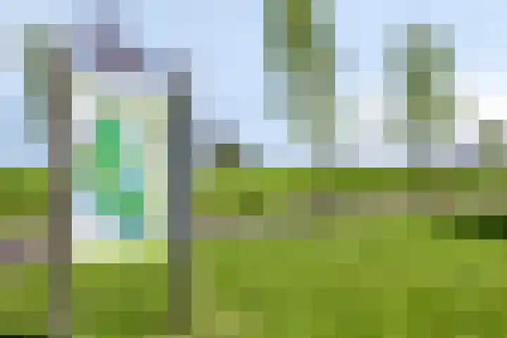 De Hors 11 Volendam thumbnail 27