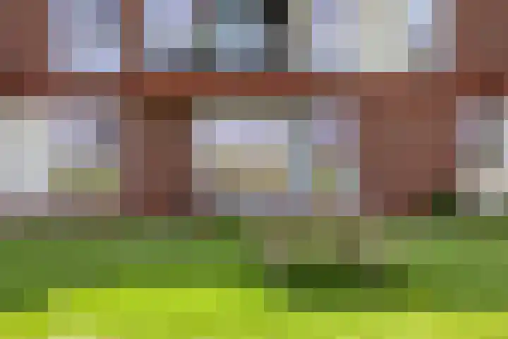 De Hors 11 Volendam thumbnail 4