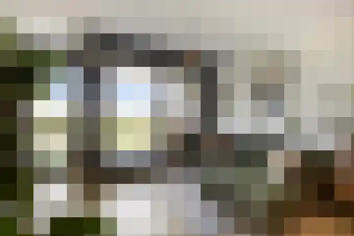 De Hors 11 Volendam thumbnail 7