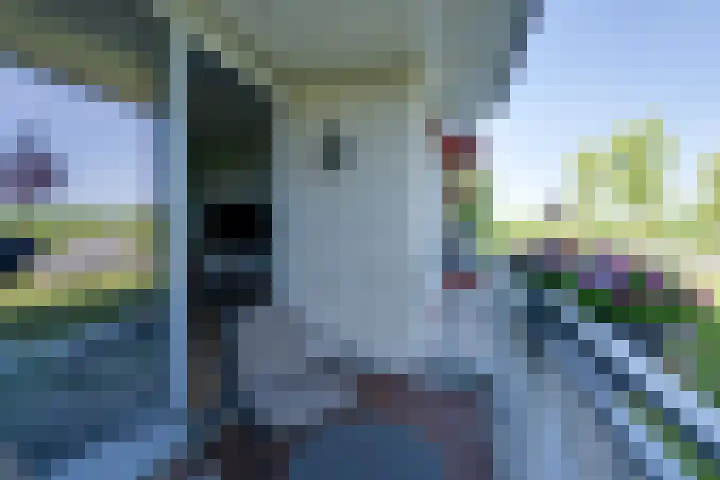 De Hors 12 Volendam thumbnail 29