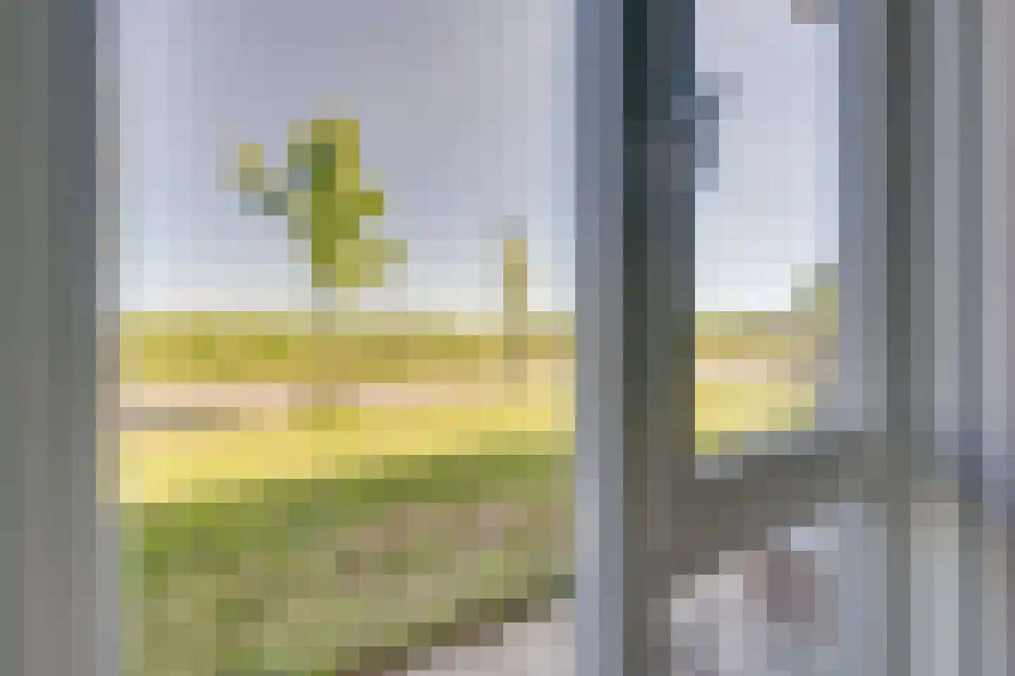 De Hors 12 Volendam thumbnail 33