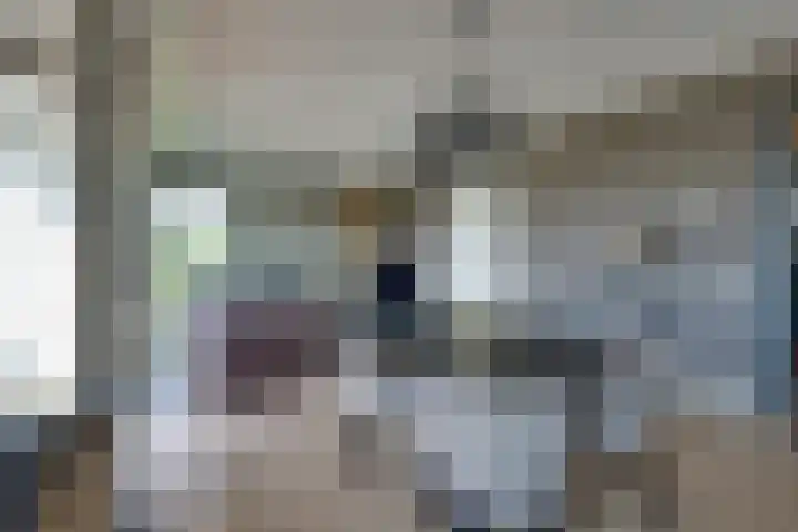De Hors 16 Volendam thumbnail 28