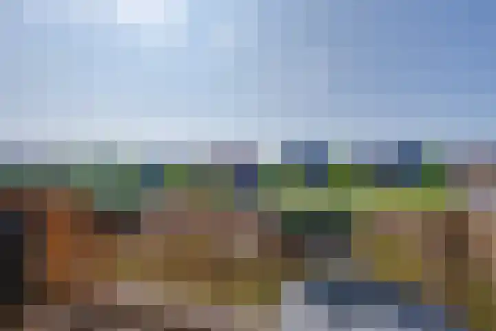 De Hors 16 Volendam thumbnail 31