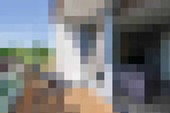 De Hors 16 Volendam thumbnail 32