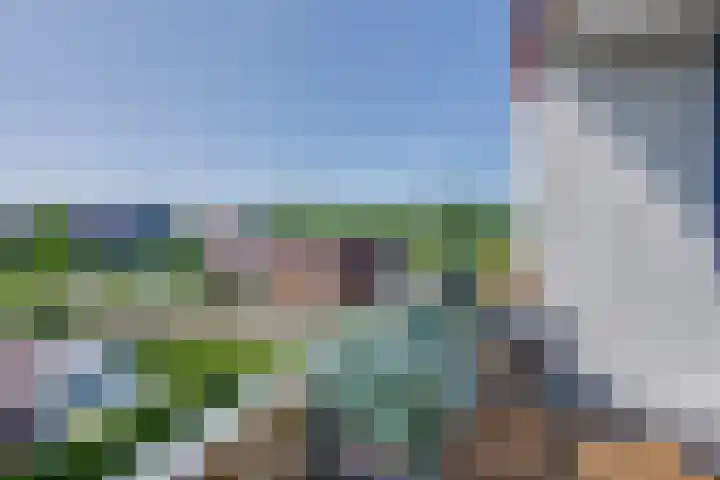 De Hors 16 Volendam thumbnail 33