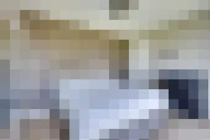 De Hors 16 Volendam thumbnail 37