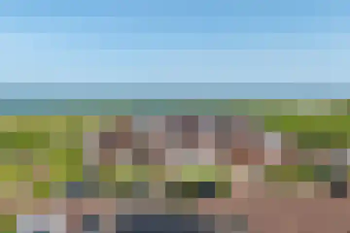 De Hors 16 Volendam thumbnail 47