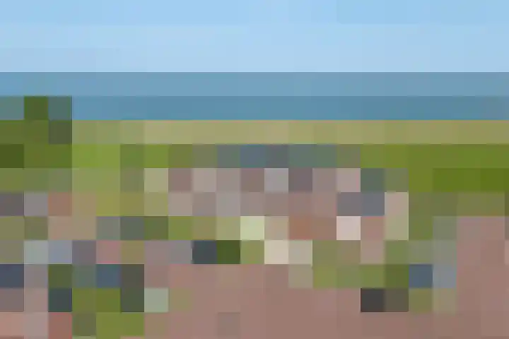 De Hors 16 Volendam thumbnail 6
