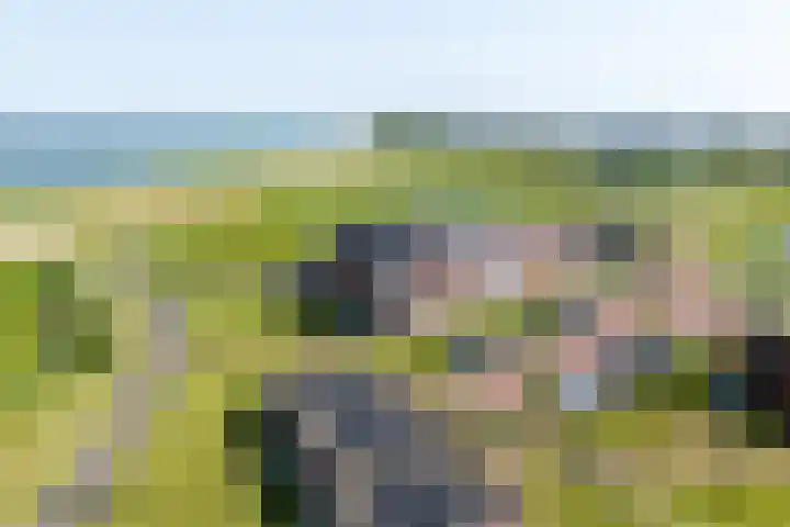 De Hors 16 Volendam thumbnail 7