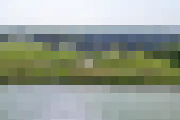 De Hors 16 Volendam thumbnail 8