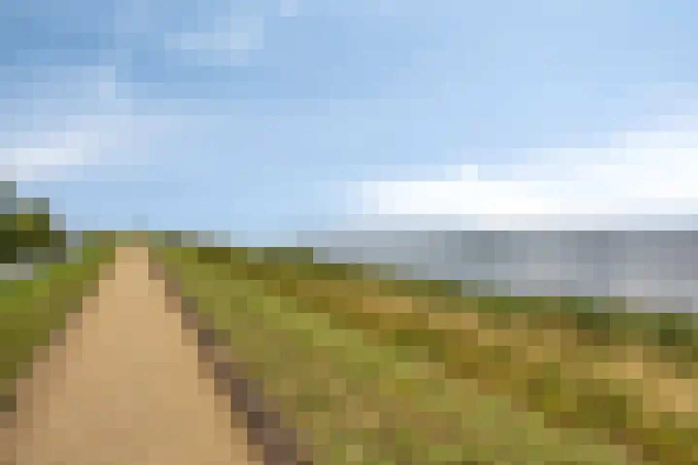 De Hors 25 Volendam thumbnail 18