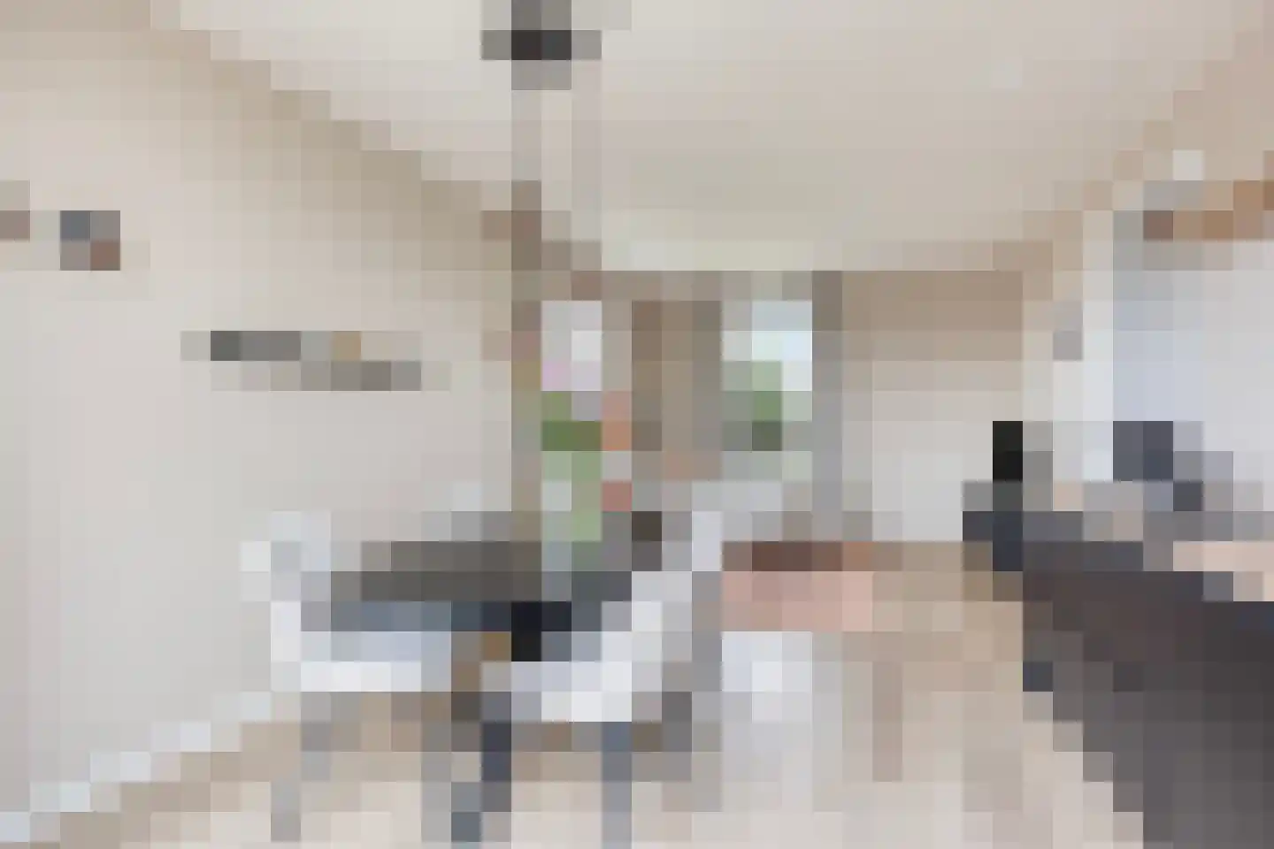 De Hors 3 Volendam thumbnail 10
