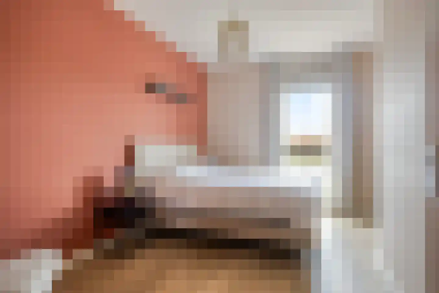 De Hors 3 Volendam thumbnail 5