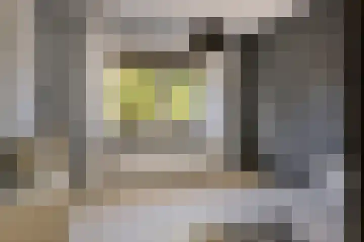 De Horst 1 B Rhenen thumbnail 32