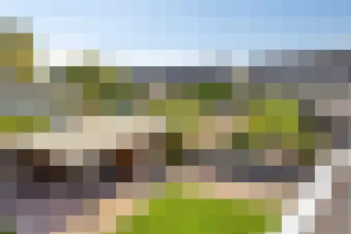 De Horst 1 B Rhenen thumbnail 37