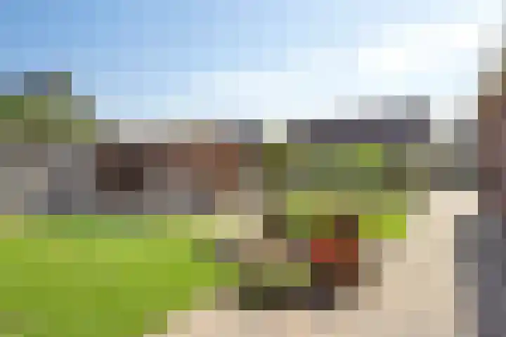 De Horst 1 B Rhenen thumbnail 4