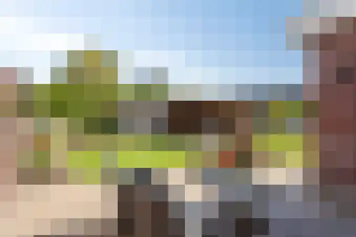 De Horst 1 B Rhenen thumbnail 40