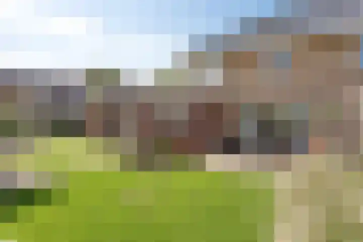 De Horst 1 B Rhenen thumbnail 42
