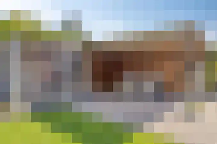 De Horst 1 B Rhenen thumbnail 43
