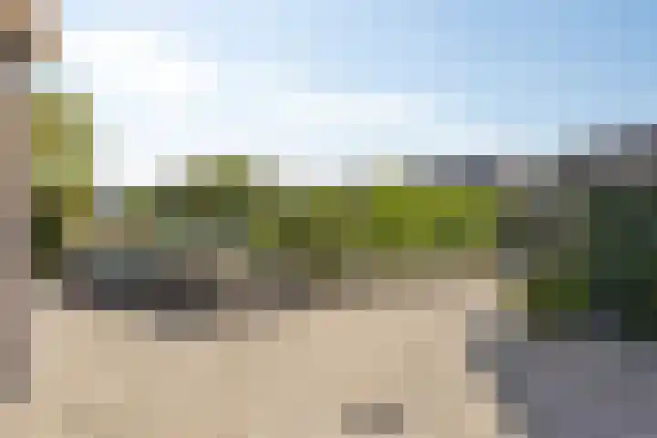 De Horst 1 B Rhenen thumbnail 47