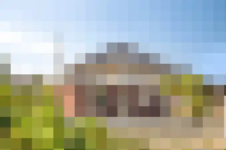 De Horst 1 B Rhenen thumbnail 49