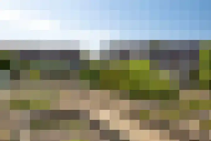 De Horst 1 B Rhenen thumbnail 5