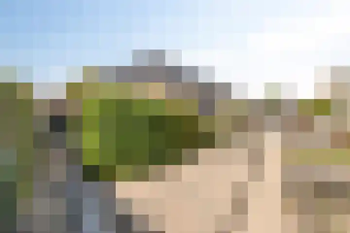 De Horst 1 B Rhenen thumbnail 50