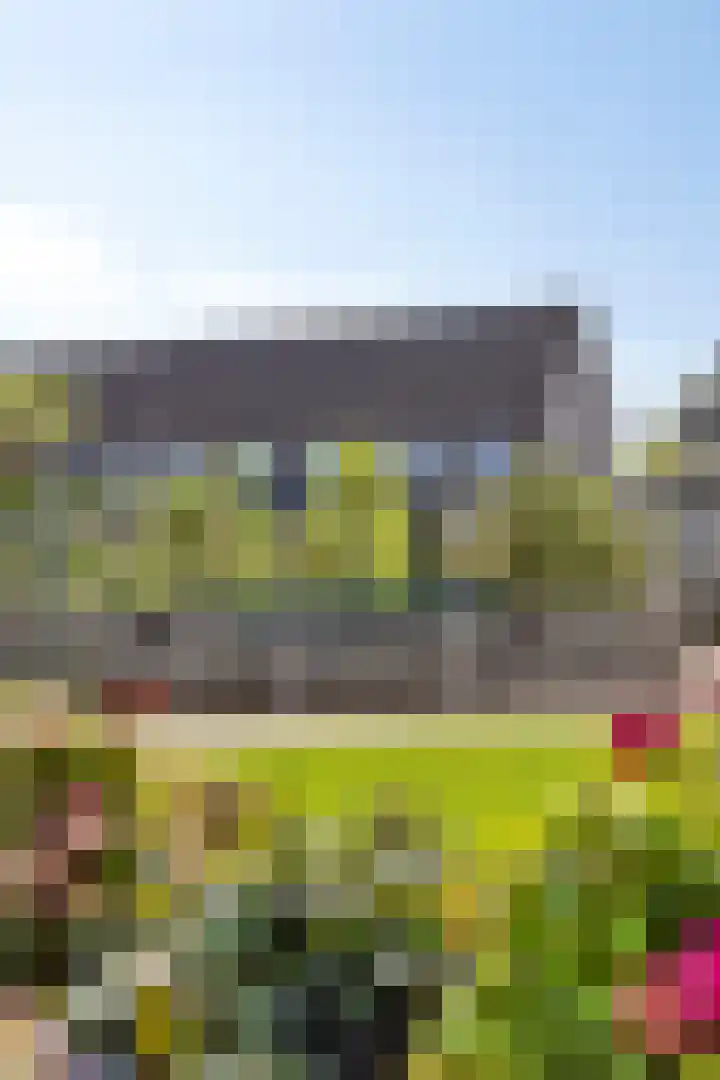 De Horst 1 B Rhenen thumbnail 51