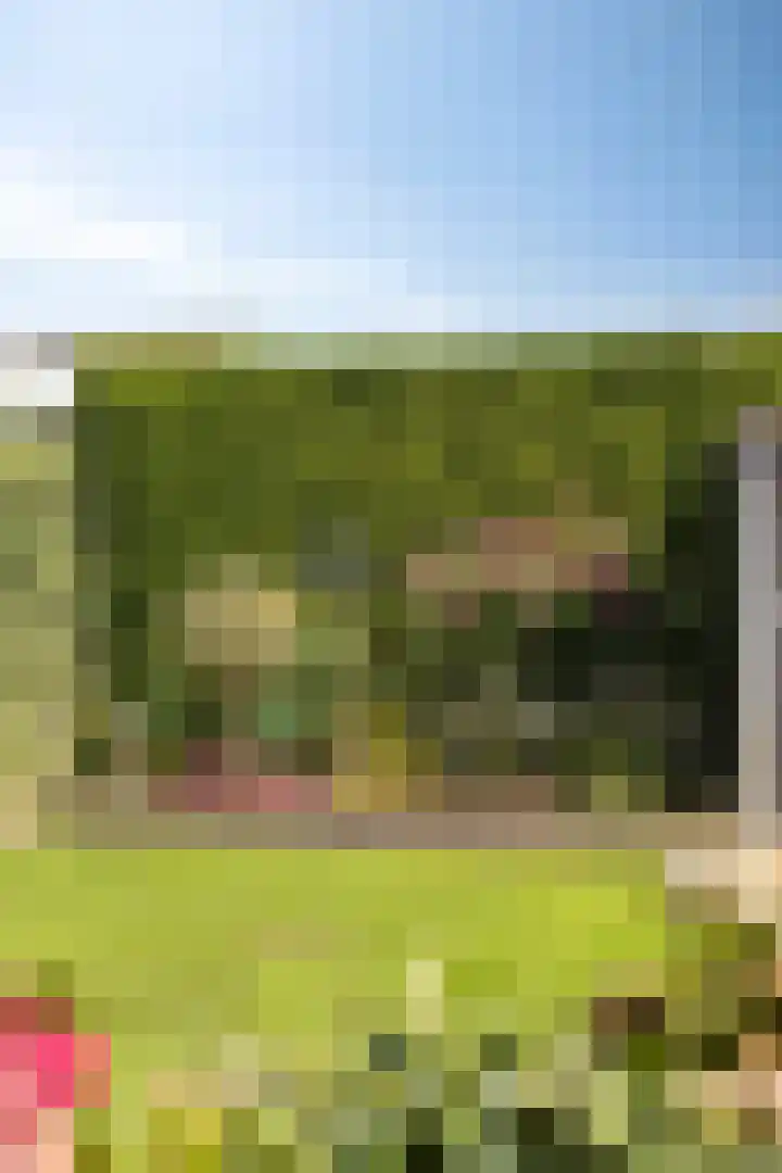 De Horst 1 B Rhenen thumbnail 52